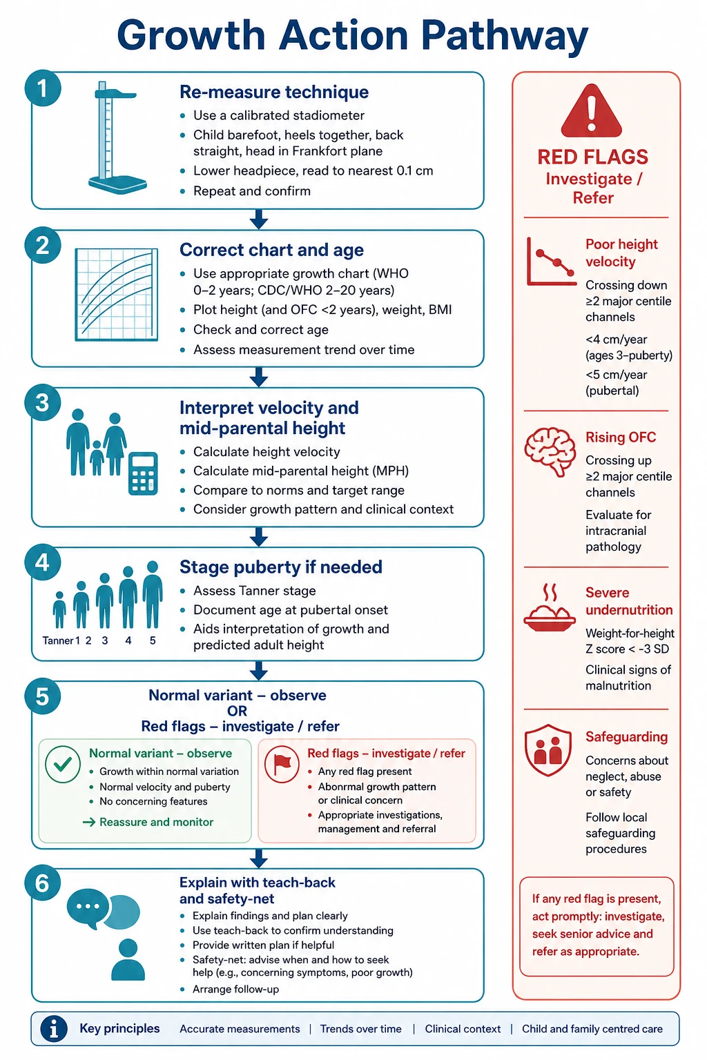 Algorithm measure plot interpret act for paediatric growth