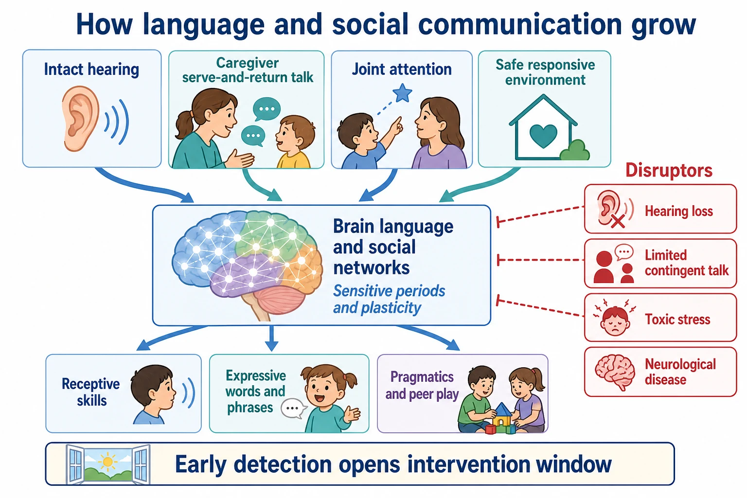 Mechanism diagram showing hearing, serve-and-return talk and joint attention feeding language networks with disruptors such as hearing loss and toxic stress