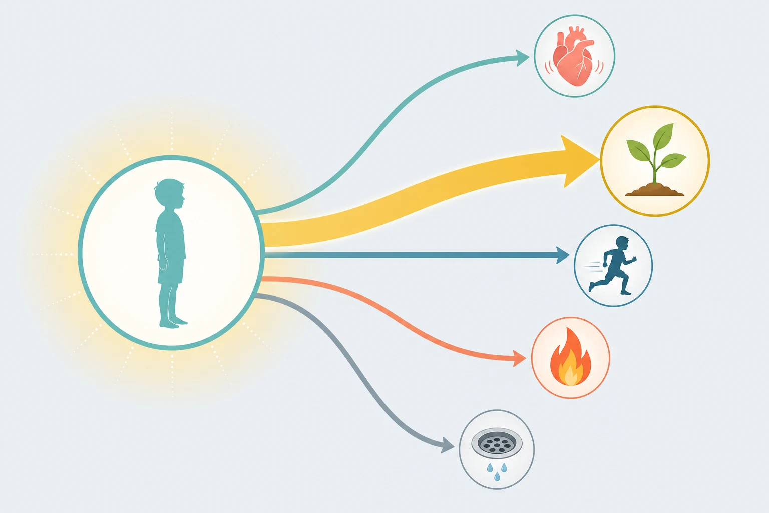 Central circle for total energy intake branching to five destinations: heart for basal metabolism, sprout for growth, running figure for activity, flame for thermogenesis, drain for losses