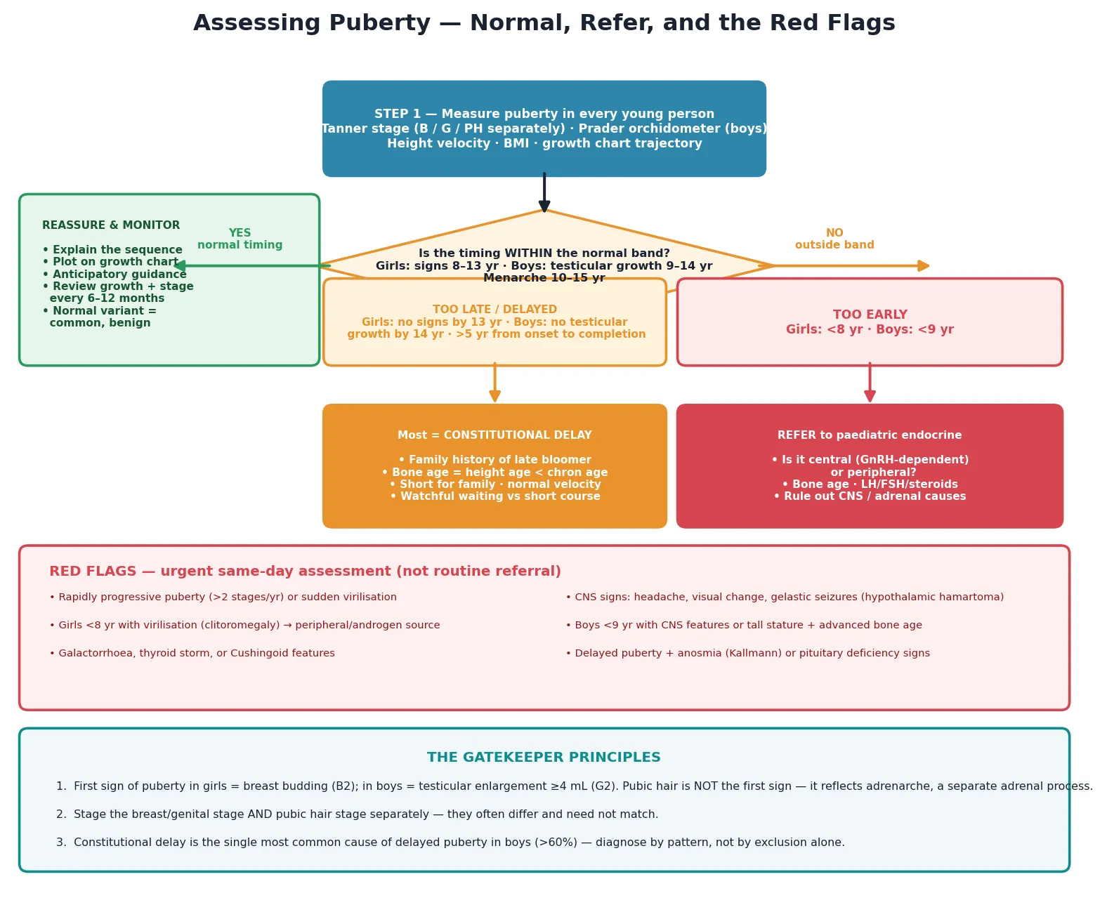 Educational stepwise algorithm for pubertal assessment showing measure, classify timing, and branch into reassure, refer early, or refer late, with a red-flag bar and gatekeeper principles