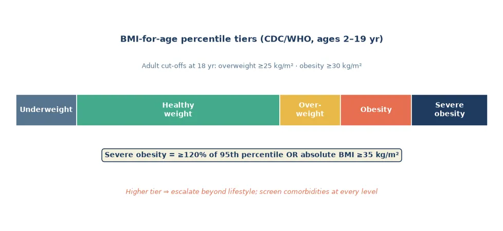 Horizontal bar of BMI-for-age percentile tiers from underweight through healthy weight, overweight, obesity and severe obesity, with adult cut-offs and the severe-obesity threshold annotated beneath.