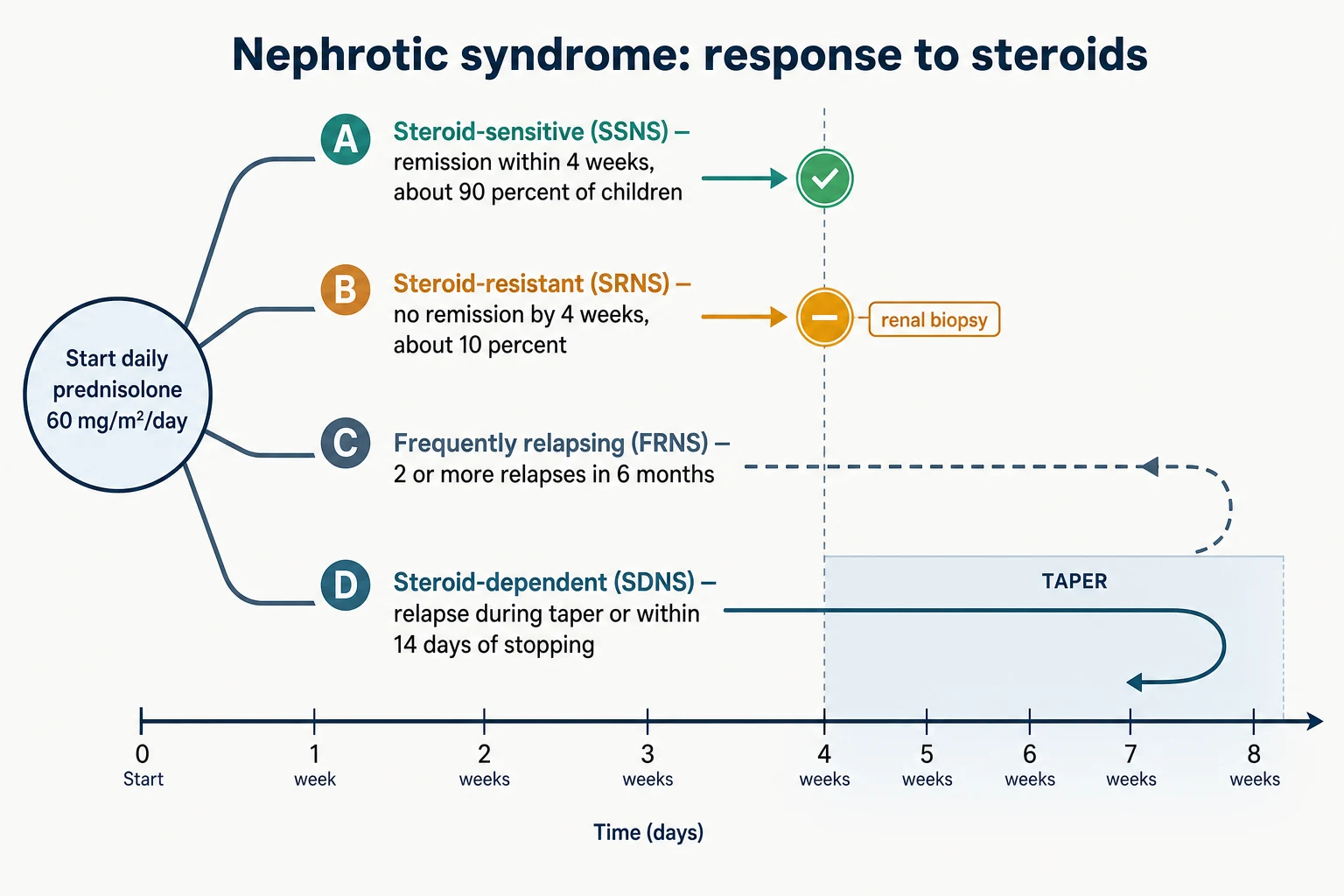 Steroid-response classification showing steroid-sensitive, steroid-resistant, frequently relapsing and steroid-dependent pathways branching from a single starting node of the initial daily prednisolone course, mapped against a four-to-eight-week timeline.