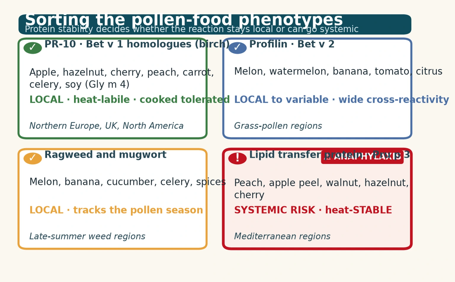 Four-quadrant educational board sorting pollen-food phenotypes by protein family with exemplar foods and local versus systemic-risk labels