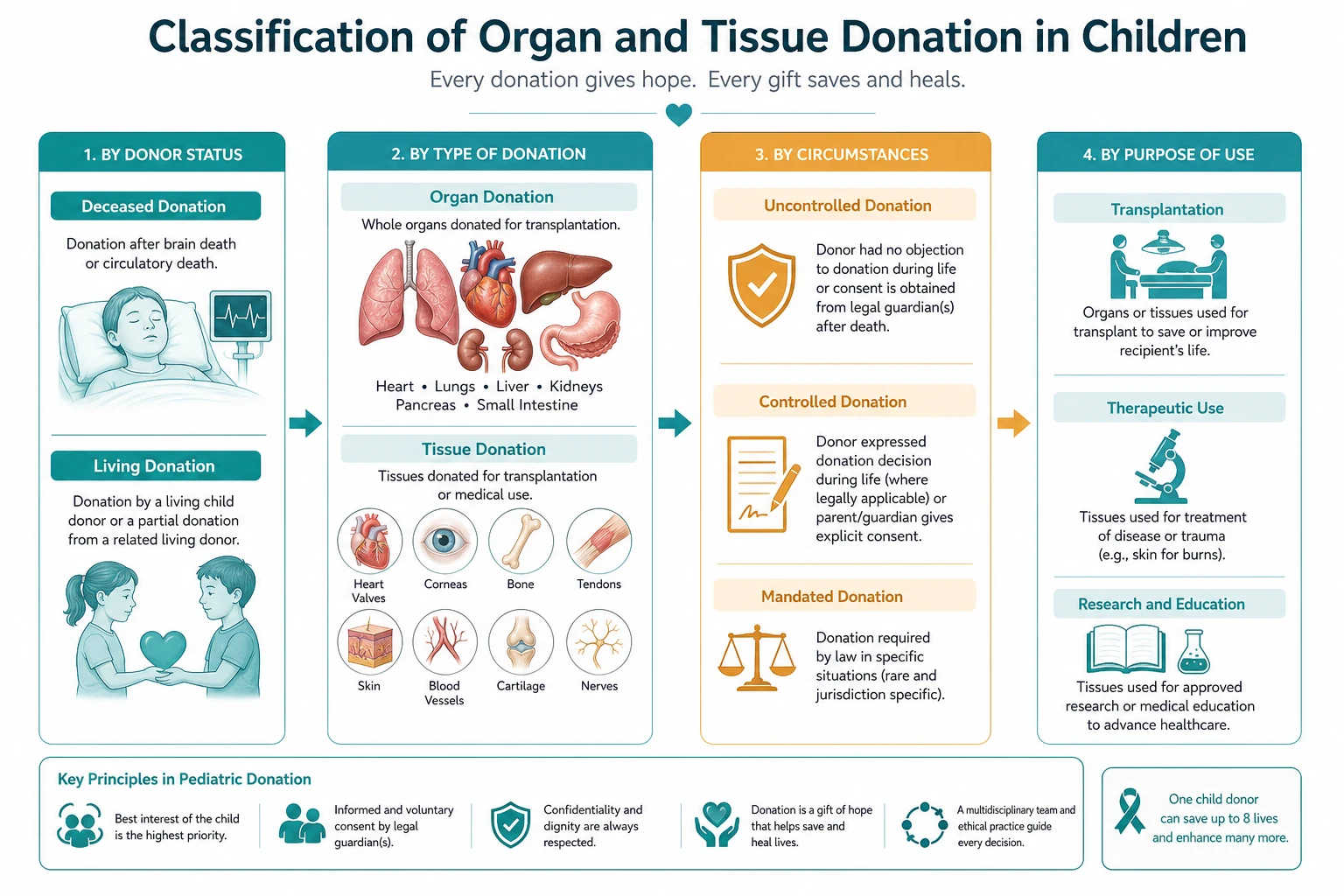 Classification diagram for organ and tissue donation in children showing the major clinical axes used at the bedside.