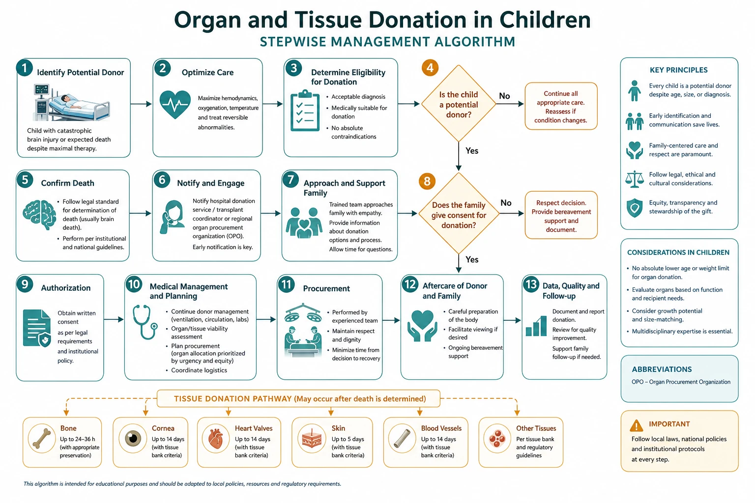 Stepwise management algorithm for organ and tissue donation in children from recognition through shared decision and escalation.