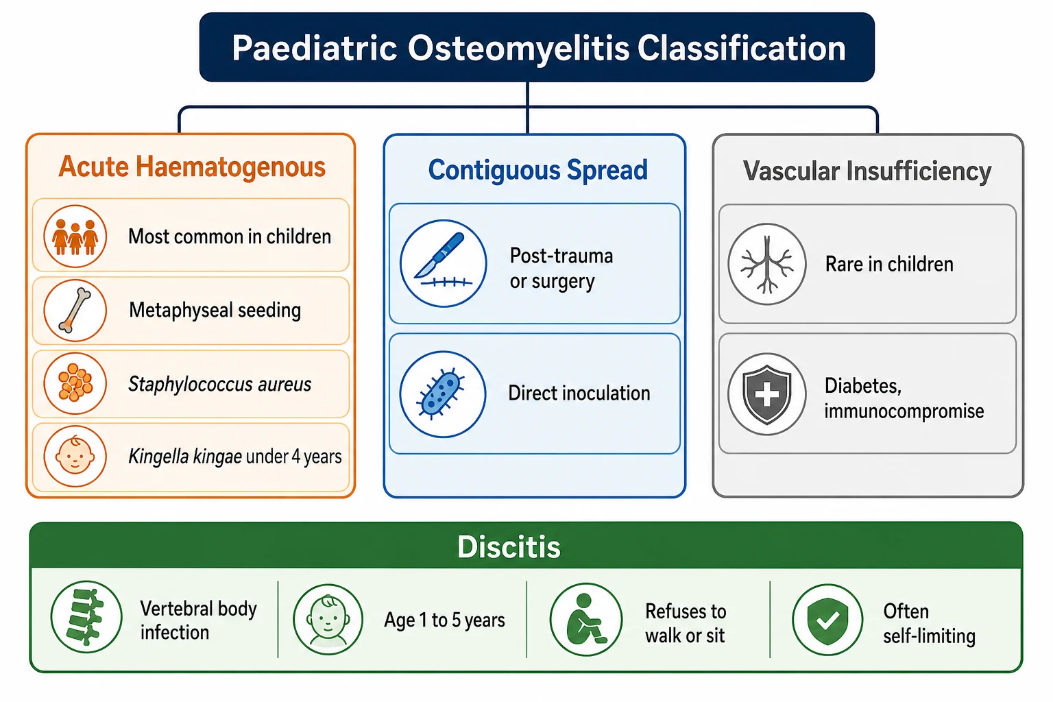 Three-panel infographic. Left panel labelled Acute Haematogenous in orange with sub-items most common in children, metaphyseal seeding, Staphylococcus aureus, Kingella kingae under four years. Middle panel labelled Contiguous Spread in blue with sub-items post-trauma or surgery, direct inoculation. Right panel labelled Vascular Insufficiency in grey with sub-items rare in children, diabetes immunocompromise. Bottom green banner labelled Discitis with text vertebral body infection, age one to five years, refuses to walk or sit, often self-limiting.