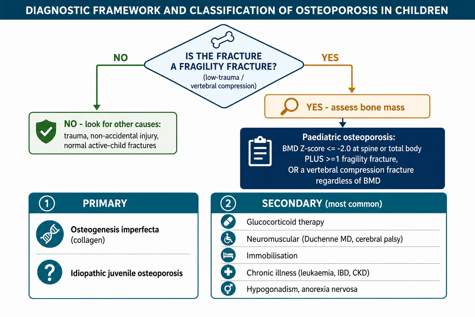 Diagnostic framework for paediatric osteoporosis: confirm the fracture is a fragility fracture, then apply the ISCD rule of low BMD Z-score plus fracture or a vertebral compression fracture alone, then split into primary (osteogenesis imperfecta, idiopathic juvenile) and secondary (glucocorticoid, neuromuscular, immobilisation, chronic illness) causes