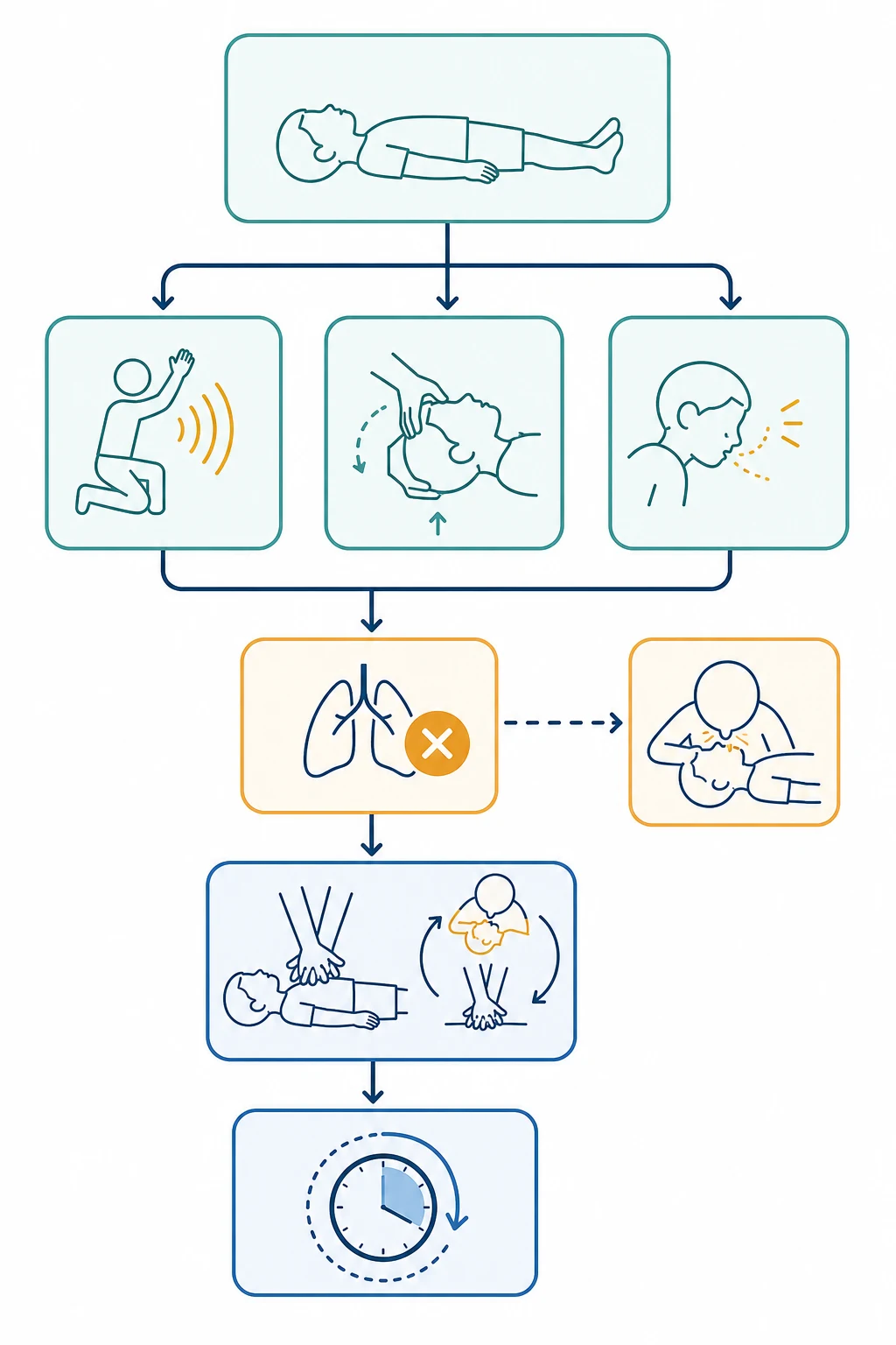 Educational flowchart of the paediatric basic life support sequence showing the responsive check, airway opening, breathing check, five rescue breaths, then compressions at fifteen to two with a two-minute reassessment cycle