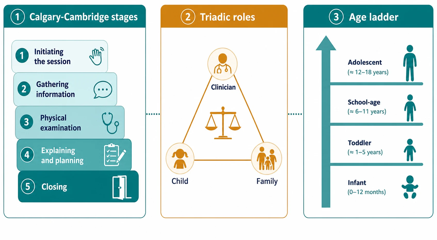 Educational board showing Calgary-Cambridge five stages beside the triadic clinician-child-family roles and an infant-to-adolescent age ladder