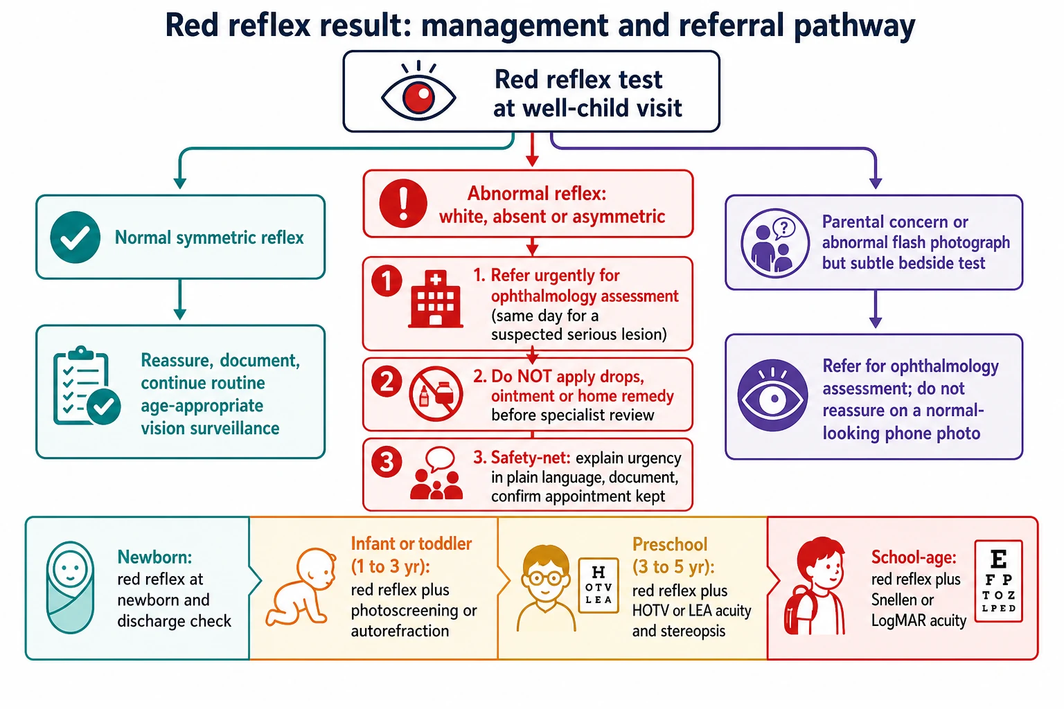 Schematic management algorithm from a top node 'red reflex test at well-child visit' with three paths: a teal path from a normal symmetric reflex to reassure, document and continue routine age-appropriate vision surveillance; a red path from an abnormal reflex (white, absent or asymmetric) to three action boxes — refer urgently for ophthalmology assessment (same day for a suspected serious lesion), do not apply drops ointment or home remedy before specialist review, and safety-net by explaining urgency, documenting and confirming the appointment; and a purple path from a parental concern or an abnormal flash photograph with a subtle bedside test to refer without reassuring on a normal-looking phone photo. Along the bottom is an age-band overlay: newborn red reflex, infant or toddler one to three years red reflex plus photoscreening or autorefraction, preschool three to five years red reflex plus HOTV or LEA acuity and stereopsis, and school-age red reflex plus Snellen or LogMAR acuity