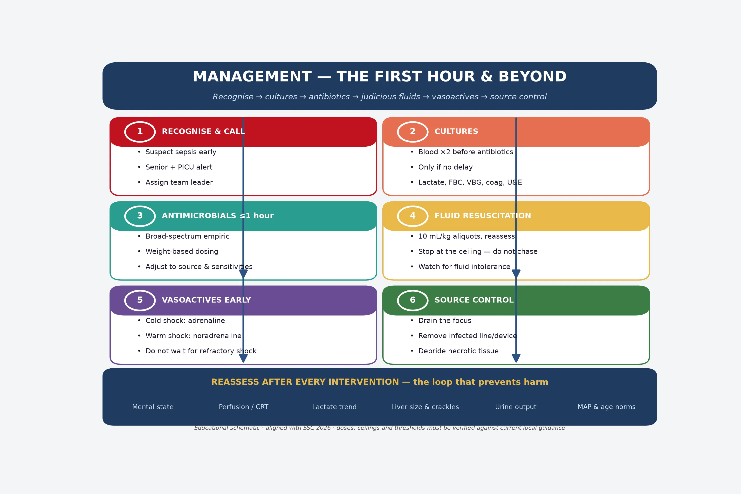 Educational schematic of the paediatric sepsis first-hour management bundle shown as six numbered steps in two columns: recognise and call, cultures, antimicrobials within one hour, fluid resuscitation, vasoactives early, and source control, with a reassessment banner listing the loop checks of mental state, perfusion, lactate trend, liver size, urine output and mean arterial pressure