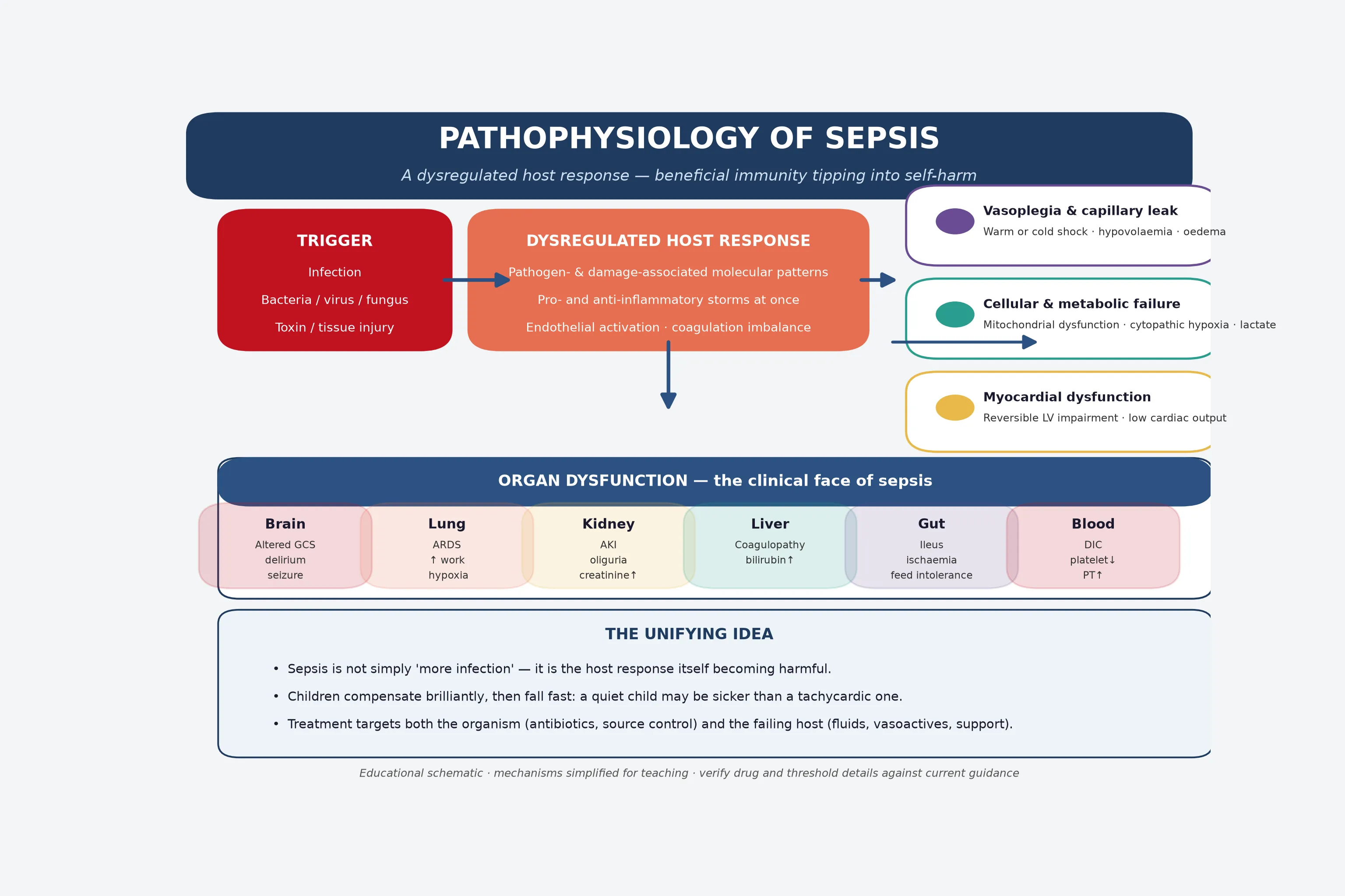 Educational schematic of sepsis pathophysiology showing a trigger, a dysregulated host response with pro- and anti-inflammatory mediator storms, downstream effects of vasoplegia and capillary leak, cellular and metabolic failure, and myocardial dysfunction, leading to multi-organ dysfunction across brain, lung, kidney, liver, gut and blood