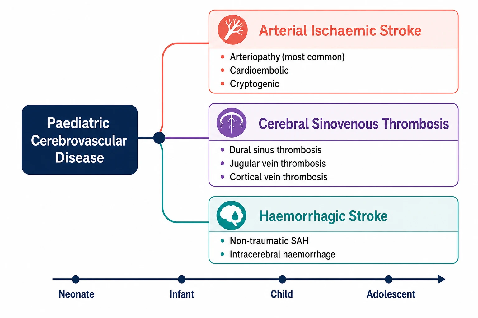 A clean scientific schematic on a white background showing the classification of paediatric cerebrovascular disease as a three-branch tree. A central navy node labelled paediatric cerebrovascular disease branches into three colour-coded panels. A coral panel labelled arterial ischaemic stroke lists arteriopathy, cardioembolic, and cryptogenic. A purple panel labelled cerebral sinovenous thrombosis lists dural sinus thrombosis, jugular vein thrombosis, and cortical vein thrombosis. A teal panel labelled haemorrhagic stroke lists non-traumatic subarachnoid haemorrhage and intracerebral haemorrhage. A horizontal age bar at the base shows neonate, infant, child, and adolescent.