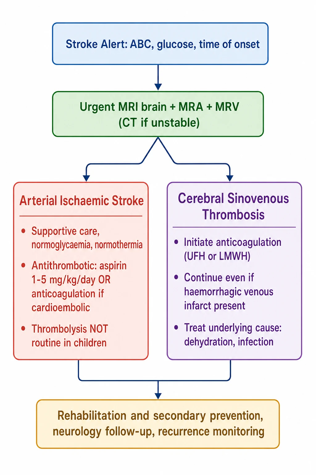 A clean medical-education management flowchart on a white background showing the acute pathway for paediatric stroke and cerebral sinovenous thrombosis as a top-down cascade. The first blue box reads stroke alert with ABC, glucose, and time of onset. A green box reads urgent MRI brain with MRA and MRV. Two branches diverge. A coral box labelled arterial ischaemic stroke lists supportive care, aspirin 1 to 5 mg per kg per day or anticoagulation if cardioembolic, and thrombolysis not routine in children. A purple box labelled cerebral sinovenous thrombosis lists anticoagulation with unfractionated heparin or low-molecular-weight heparin, continue even if haemorrhagic infarct present, and treat underlying cause. An amber box at the base reads rehabilitation and secondary prevention with neurology follow-up and recurrence monitoring.
