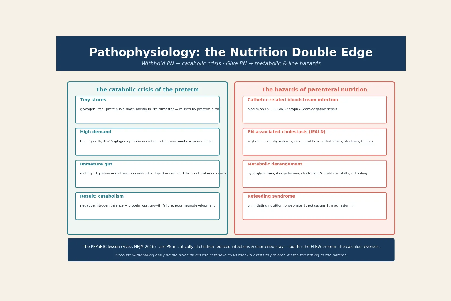 Pathophysiology of neonatal parenteral nutrition shown as a double edge: on the left the catabolic crisis of prematurity (tiny stores, high demand, immature gut, catabolism), on the right the hazards of PN (catheter-related bloodstream infection, PN-associated cholestasis or IFALD, metabolic derangement, refeeding syndrome), with the PEPaNIC lesson at the foot of the diagram
