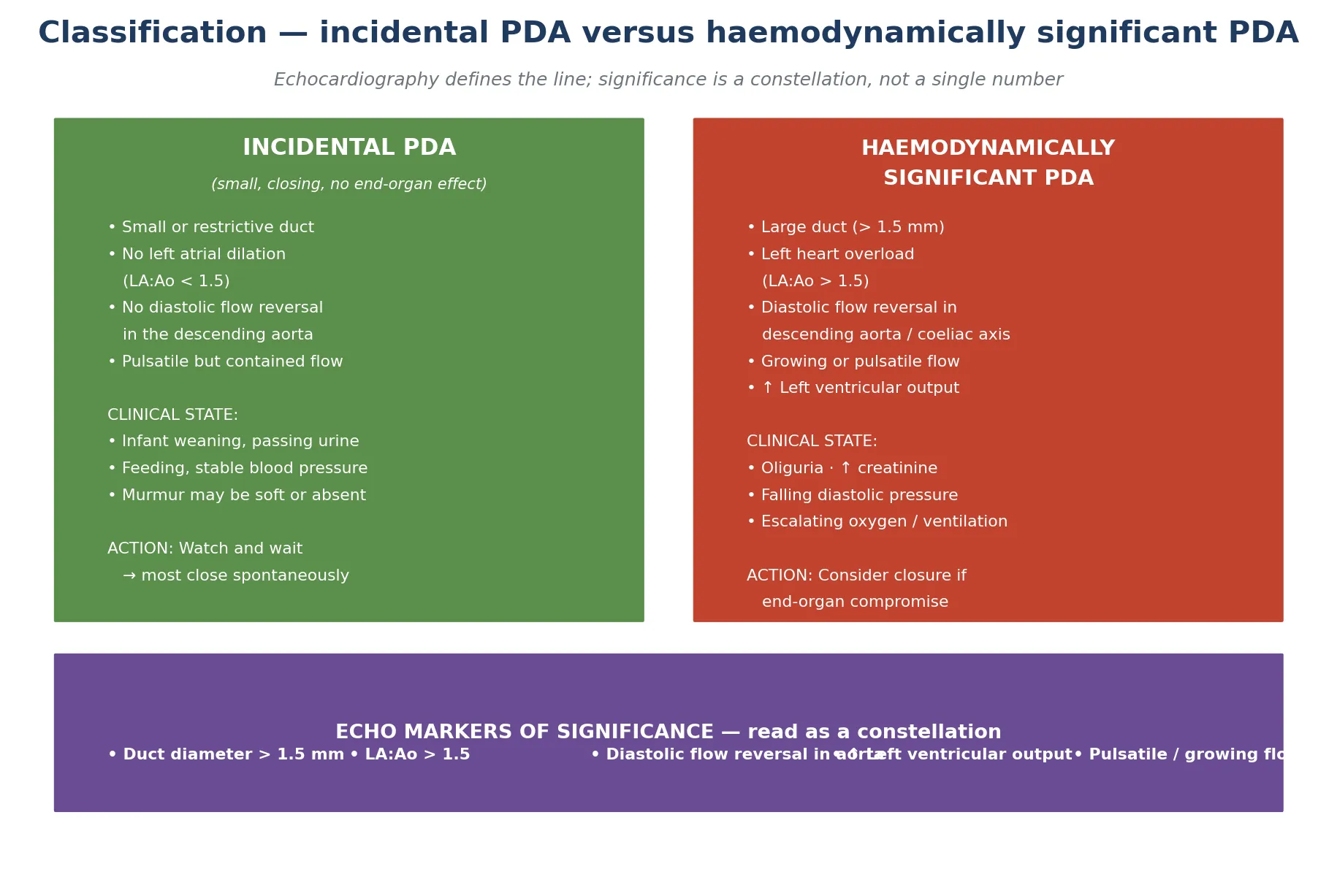 Educational diagram contrasting an incidental small closing PDA with a haemodynamically significant PDA, annotated with the echocardiographic markers: duct diameter, left atrial to aortic root ratio, diastolic flow reversal in the descending aorta, and left ventricular output