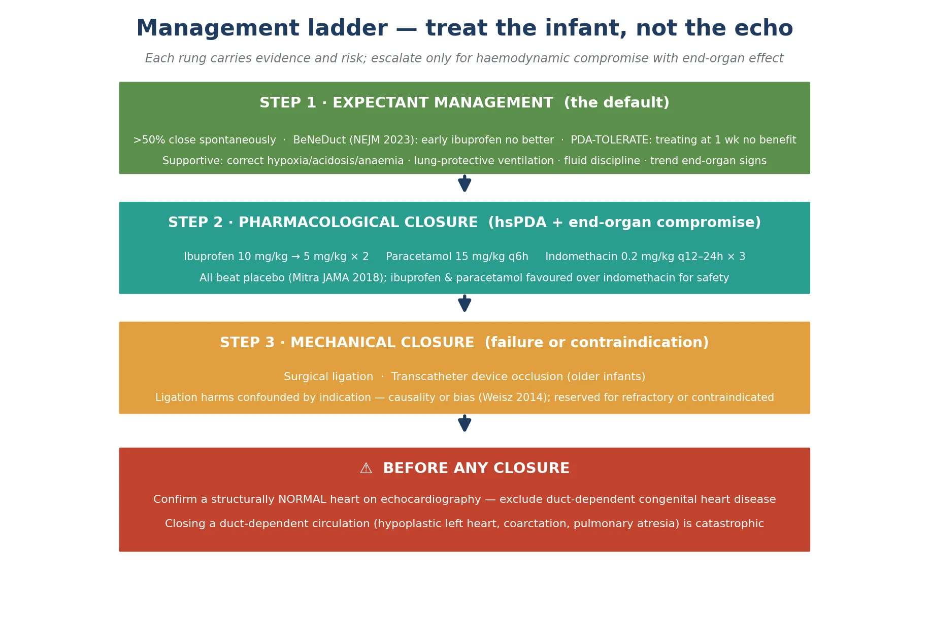 Educational flowchart of the stepwise PDA management ladder: expectant management first, then pharmacological closure with ibuprofen, indomethacin or paracetamol for haemodynamically significant ducts with end-organ compromise, then surgical or transcatheter ligation reserved for failure or contraindication