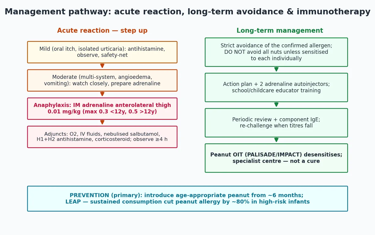 Management pathway showing acute reaction step-up ladder to IM adrenaline and long-term management of avoidance, action plan, autoinjector, review and oral immunotherapy, with primary prevention ribbon from the LEAP trial.