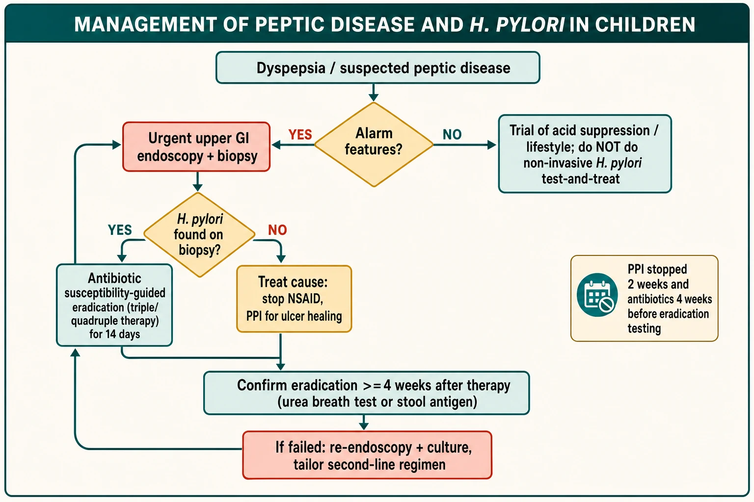 Closed-loop management algorithm from suspected peptic disease through alarm-feature triage, endoscopy, susceptibility-guided eradication, and confirmation of cure