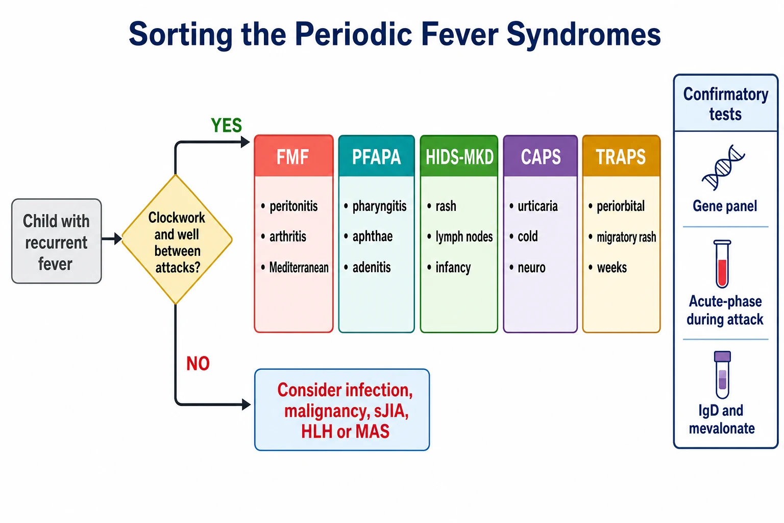 A clean horizontal medical schematic on a white background showing a diagnostic decision pathway for a child with recurrent fever, branching from an entry box through a clockwork-and-well-between-attacks decision node into five colour-coded syndrome tiles for familial Mediterranean fever, PFAPA, mevalonate kinase deficiency, cryopyrin-associated periodic syndromes and tumour necrosis factor receptor-associated periodic syndrome, with the alternative-diagnosis branch below and a confirmatory-test panel on the right