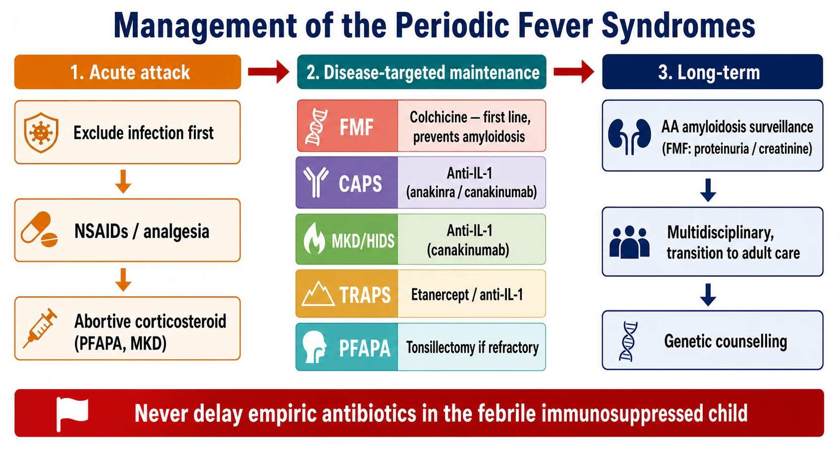 A clean horizontal medical schematic on a white background showing a three-column management algorithm from the acute attack through the disease-targeted maintenance to the long-term surveillance, with the colchicine tile for familial Mediterranean fever, the interleukin-one tiles for the cryopyrin-associated periodic syndromes and mevalonate kinase deficiency, the etanercept tile for the tumour necrosis factor receptor-associated periodic syndrome, the tonsillectomy tile for PFAPA, and a red-flag strip on the empiric antibiotics for the febrile immunosuppressed child