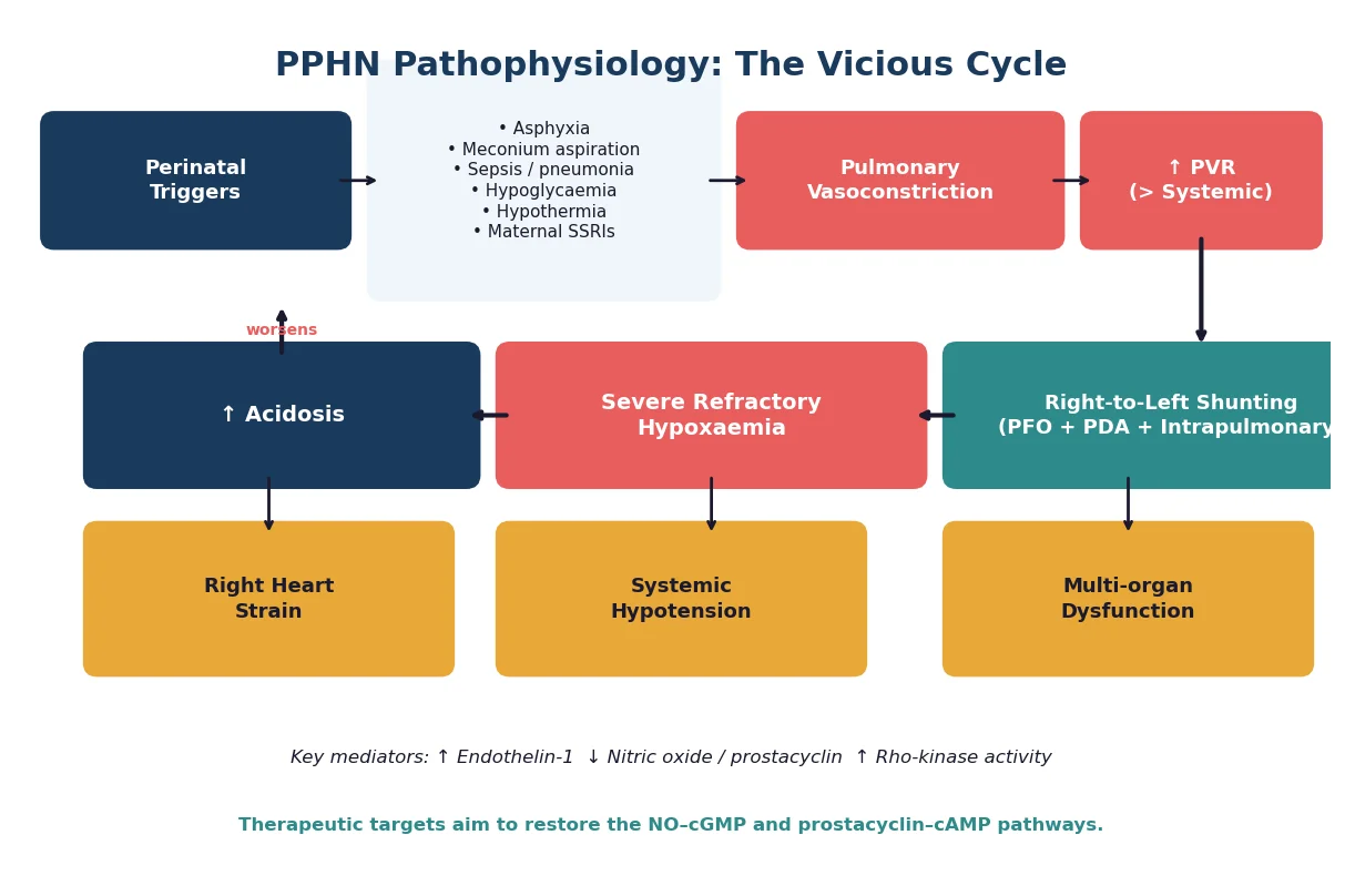 Vicious cycle diagram showing how perinatal triggers cause pulmonary vasoconstriction, right-to-left shunting, hypoxaemia, and worsening acidosis