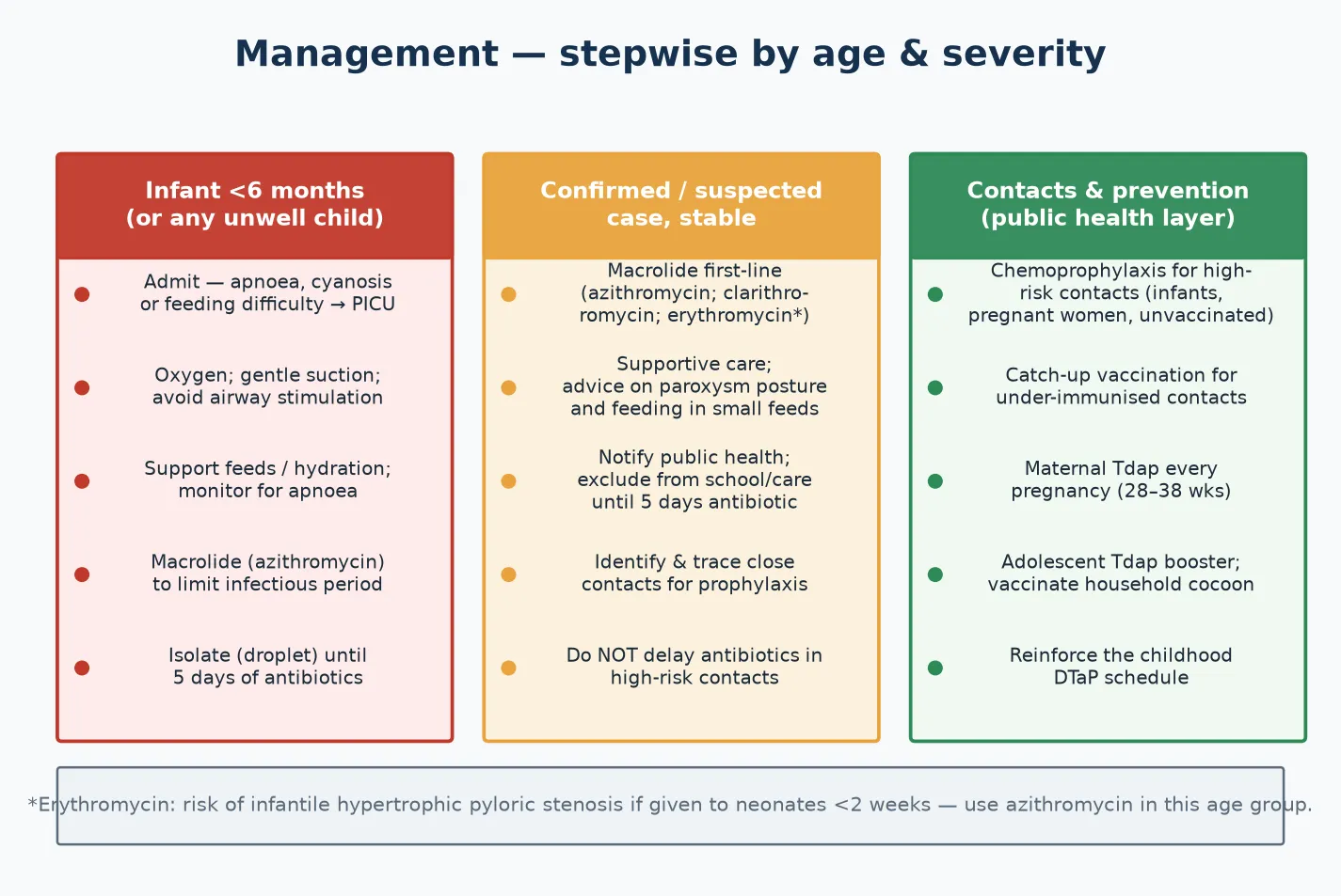 Three-column stepwise management pathway: the unwell infant (admit, oxygen, suction, support feeds, monitor for apnoea, macrolide, isolate); the stable case (macrolide, supportive care, notify public health, exclude, trace contacts); and contacts and prevention (chemoprophylaxis of high-risk contacts, catch-up vaccination, maternal Tdap, adolescent booster, cocoon)