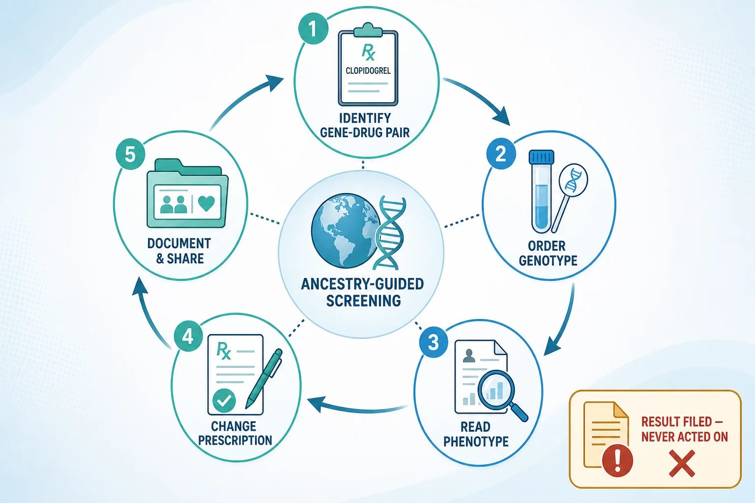 Educational flowchart of the five-step pharmacogenomic prescribing cycle — identify the gene-drug pair, order the genotype, read the phenotype, change the prescription, document and share — with an ancestry-guided screening hub at the centre and a result-filed-but-not-acted-on warning box