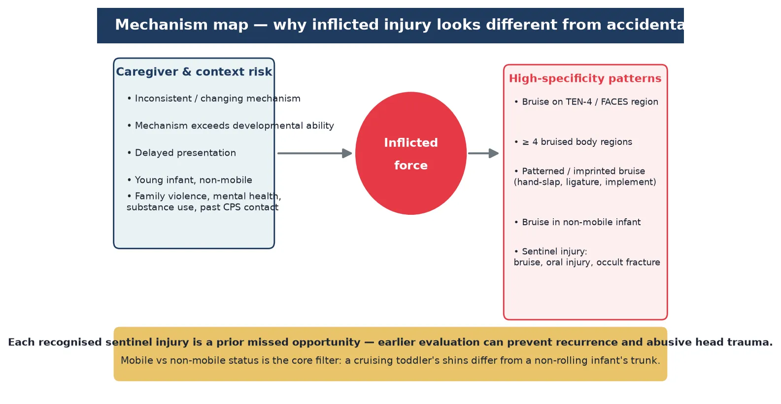 Mechanism map showing caregiver and contextual risk feeding inflicted force, which produces high-specificity injury patterns