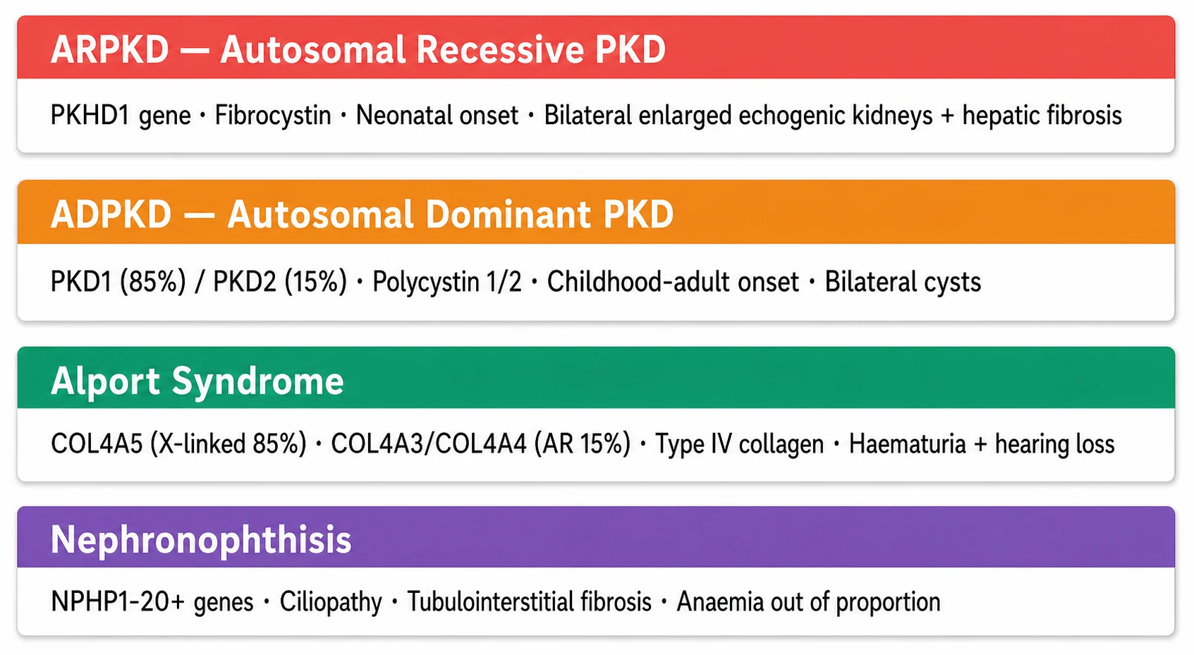 Classification of inherited nephropathies in four panels: ARPKD from PKHD1 with neonatal enlarged echogenic kidneys and hepatic fibrosis, ADPKD from PKD1 or PKD2 with bilateral cysts and childhood-adult onset, Alport syndrome from COL4A3 to COL4A5 with haematuria and hearing loss, and nephronophthisis from NPHP genes with tubulointerstitial fibrosis and disproportionate anaemia.