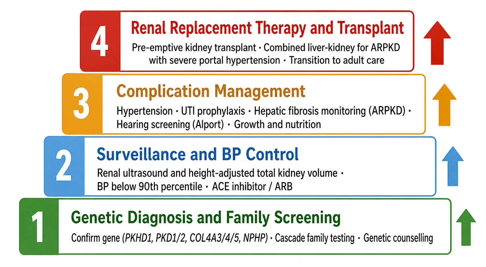 Stepwise management ladder for inherited nephropathies: Tier 1 genetic diagnosis and family screening, Tier 2 surveillance and blood pressure control below the 90th percentile with ACE inhibitor or ARB, Tier 3 complication management of hypertension, hepatic fibrosis, hearing loss and growth, Tier 4 renal replacement therapy with pre-emptive kidney transplant and combined liver-kidney transplant for ARPKD.