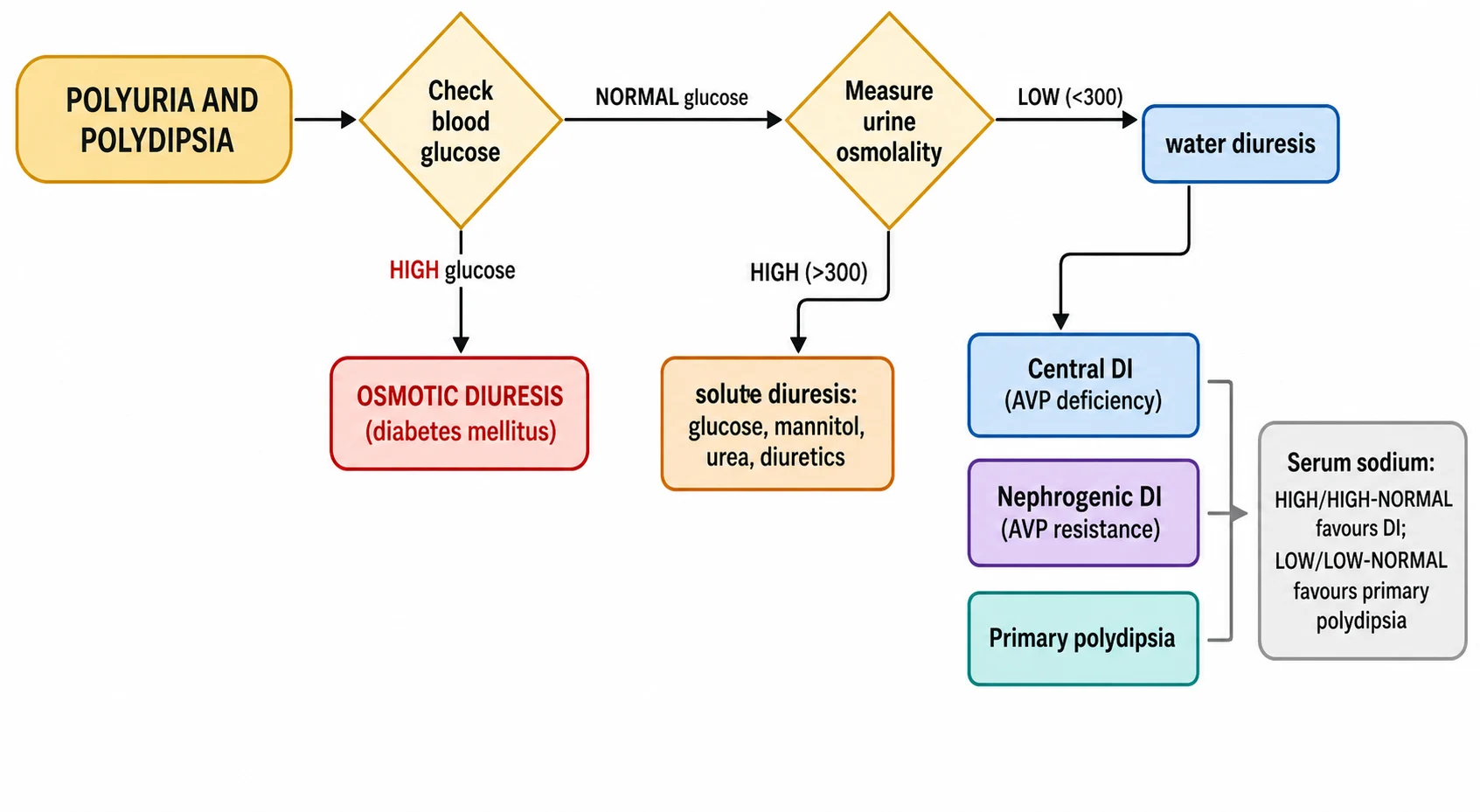 Diagnostic flowchart on a white background. It starts at a box labelled polyuria and polydipsia, flows to a decision diamond check blood glucose. A high-glucose path leads to a red box osmotic diuresis diabetes mellitus. A normal-glucose path leads to a diamond measure urine osmolality. A high-osmolality path leads to solute diuresis glucose mannitol urea diuretics. A low-osmolality path leads to a box water diuresis that branches into three stacked boxes central DI, nephrogenic DI and primary polydipsia, with a callout that high or high-normal serum sodium favours DI and low or low-normal favours primary polydipsia.