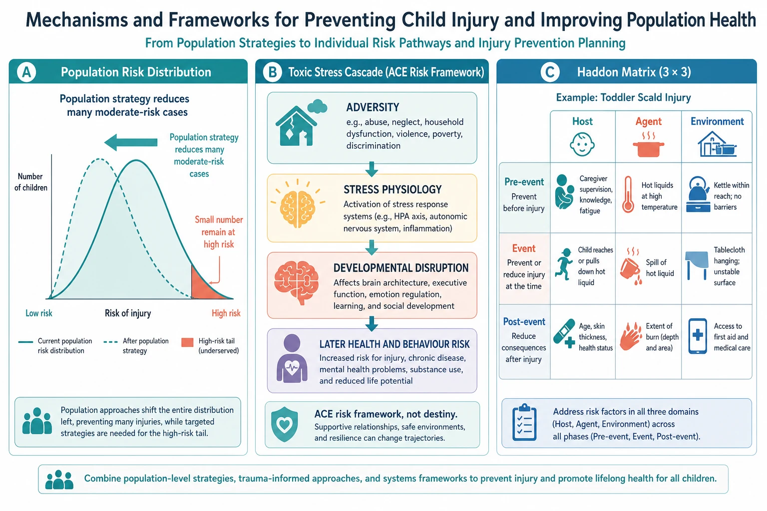 Educational schematic of population risk curve shift, toxic stress cascade and Haddon matrix for paediatric injury