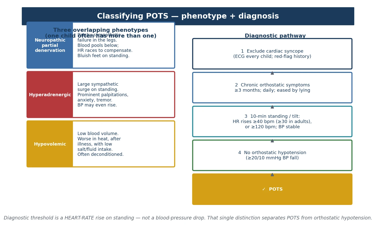 Classification of POTS. Left side: three colour-coded phenotype cards. Neuropathic (blue) — partial sympathetic denervation, blood pools in the legs, heart rate races to compensate, bluish or purple feet on standing. Hyperadrenergic (red) — large sympathetic surge on standing, prominent palpitations, anxiety and tremor, blood pressure may even rise. Hypovolaemic (gold) — low blood volume, worse in heat and after illness, low salt and fluid intake, often deconditioned. Right side: a four-step diagnostic pathway flowing downward — step one exclude cardiac syncope with an ECG and a red-flag history; step two confirm chronic daily orthostatic symptoms for six months or more, eased by lying down; step three on a ten-minute standing or tilt test the heart rate rises at least forty beats per minute, or to at least one hundred and twenty, with blood pressure stable; step four no orthostatic hypotension with a blood-pressure fall of twenty over ten; and a final check-mark labelled POTS.