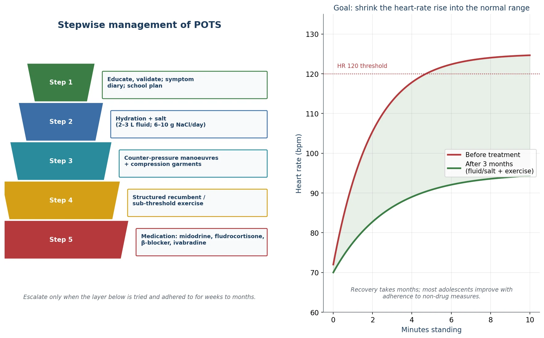 Stepwise management of POTS in two panels. Left panel: a five-step colour-coded pyramid, each step with a label box to its right. Step one green, educate, validate, symptom diary, school plan. Step two blue, hydration plus salt at two to three litres of fluid and six to ten grams of sodium chloride per day, titrated. Step three teal, counter-pressure manoeuvres plus compression garments. Step four gold, structured recumbent or sub-threshold exercise. Step five red, medication: midodrine, fludrocortisone, beta-blocker, ivabradine. A note says escalate only when the layer below is tried and adhered to for weeks to months. Right panel: a heart-rate chart over minutes standing showing the before-treatment curve rising above one hundred and twenty in red and the after-three-months curve settling below ninety-five in green, with a dotted threshold line at one hundred and twenty.