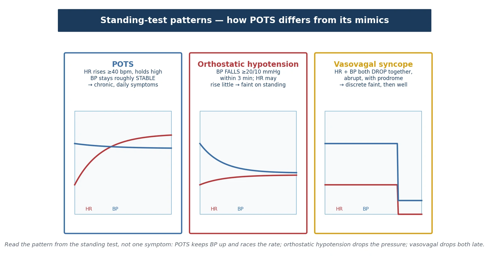 Three standing-test patterns side by side, each in a colour-coded panel with a small heart-rate curve in red and a blood-pressure curve in blue. POTS panel in blue: the heart-rate line climbs and stays high while the blood-pressure line stays roughly flat — chronic daily symptoms. Orthostatic hypotension panel in red: the blood-pressure line falls by twenty over ten within three minutes while the heart-rate line barely moves — faint or presyncope on standing. Vasovagal syncope panel in gold: both lines drop abruptly together late in the stand, after a prodrome — a discrete faint then full recovery.
