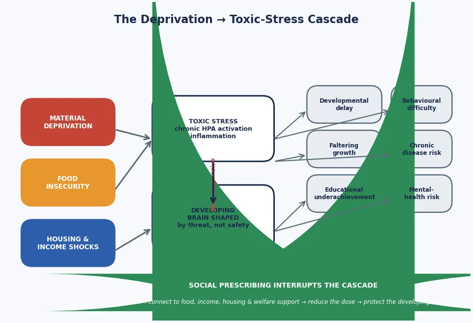 Causal mechanism map linking material deprivation, food insecurity and housing and income shocks through a toxic-stress cascade to child-focused outcomes (developmental delay, faltering growth, behavioural difficulty, chronic-disease risk, educational underachievement, mental-health risk), with a social-prescribing interrupt that screens and connects families to food, income, housing and welfare support to reduce the dose