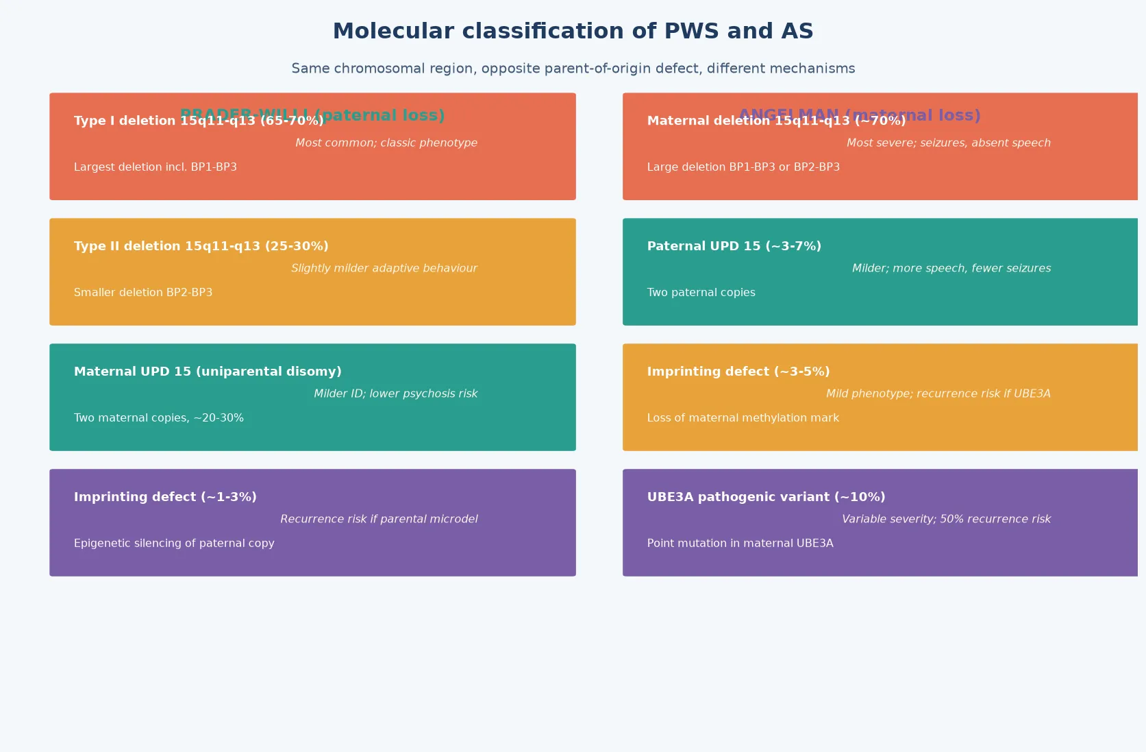 Two-panel comparison of PWS molecular subtypes (paternal deletion 70%, maternal uniparental disomy 25%, imprinting defect 5%) and AS molecular subtypes (maternal deletion 70%, UBE3A mutation 10%, paternal UPD 3-5%, imprinting defect 3-5%), each with molecular mechanism, methylation result, phenotype severity modifier, and recurrence risk