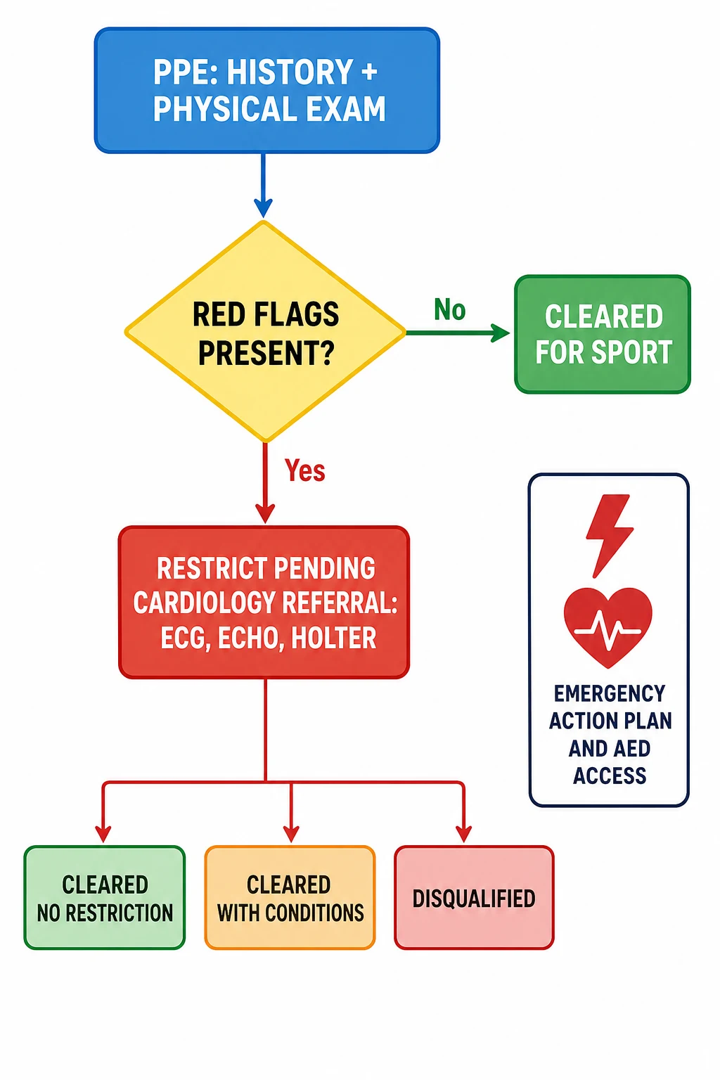 An educational flowchart flowing top to bottom from a blue box labelled PPE history and physical exam, to a yellow decision diamond labelled red flags present, with a green no arrow to a green cleared for sport box and a red yes arrow to a red restricted pending cardiology referral box leading to three outcome boxes labelled cleared no restriction, cleared with conditions and disqualified, with an emergency action plan and AED access panel on the right