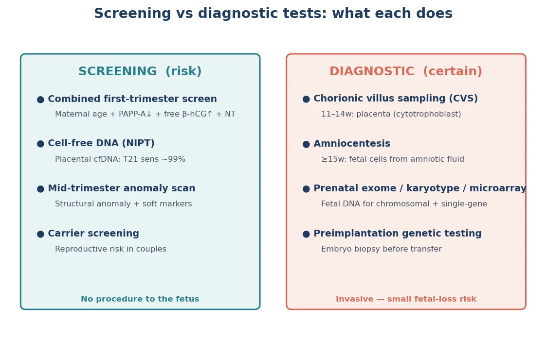 Educational classification matrix mapping the four prenatal genetic assessment domains to what they measure, result states and the action each triggers