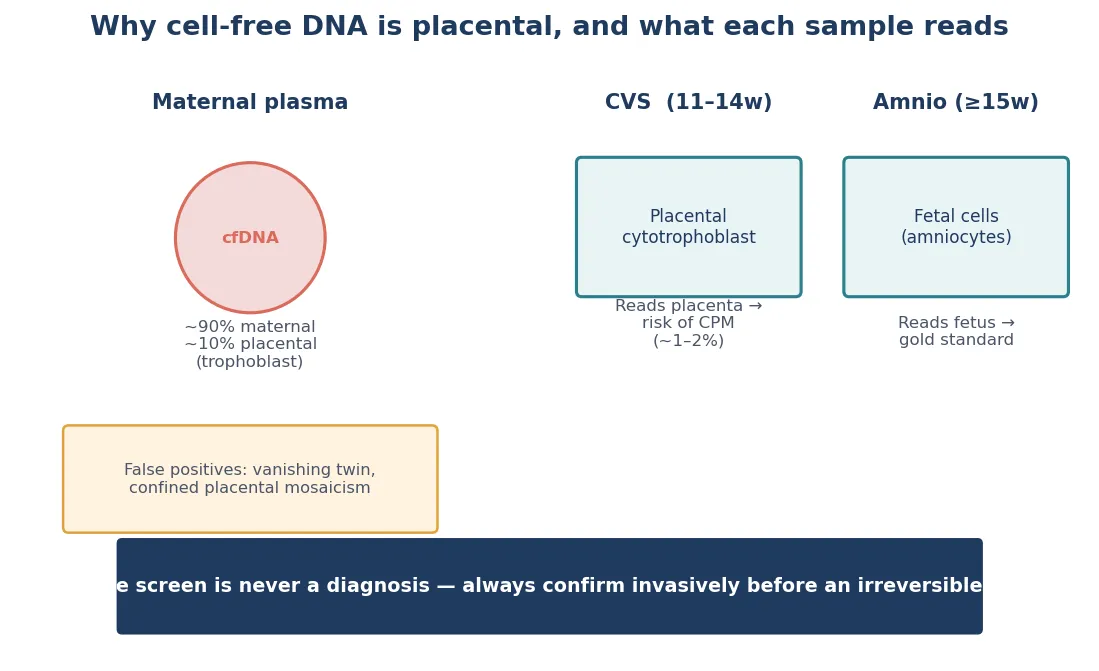 Educational mechanism diagram showing cell-free DNA placental origin, microarray copy-number detection, exome sequencing of coding regions, PGT embryo biopsy and confined placental mosaicism