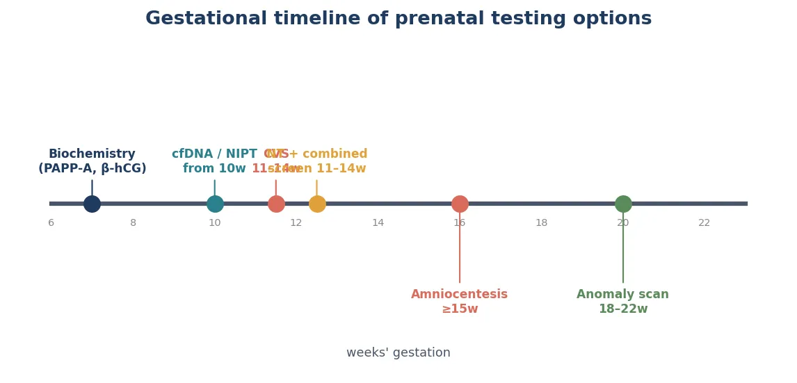 Educational gestational timeline showing carrier screening pre-pregnancy, cfDNA and combined screening at 10 to 14 weeks, CVS from 11 weeks, amniocentesis from 15 weeks, anatomy scan and microarray or exome at 18 to 22 weeks, and postnatal confirmation