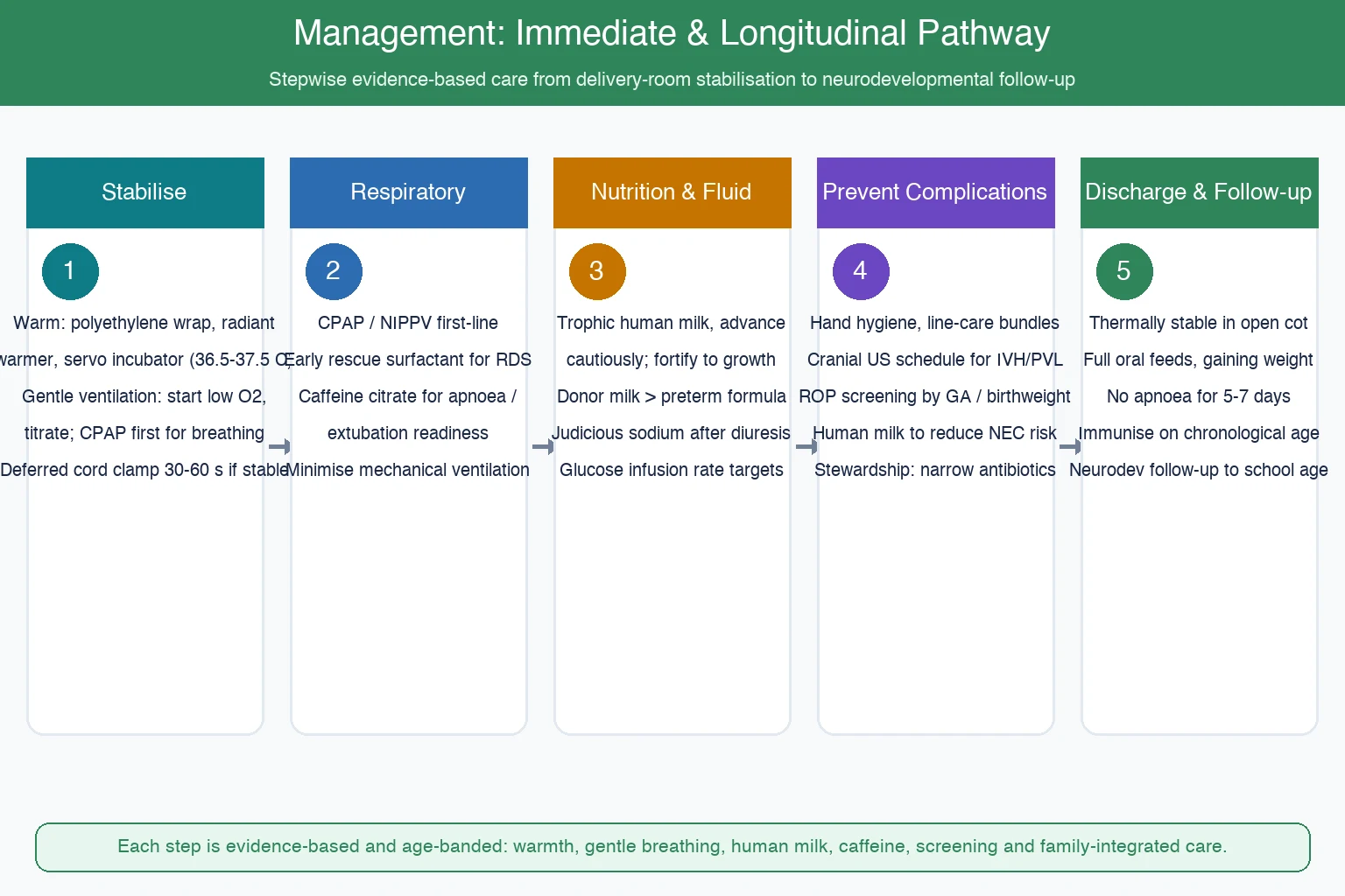 Educational schematic of stepwise preterm infant management from delivery-room stabilisation through respiratory nutrition complication prevention and discharge follow-up