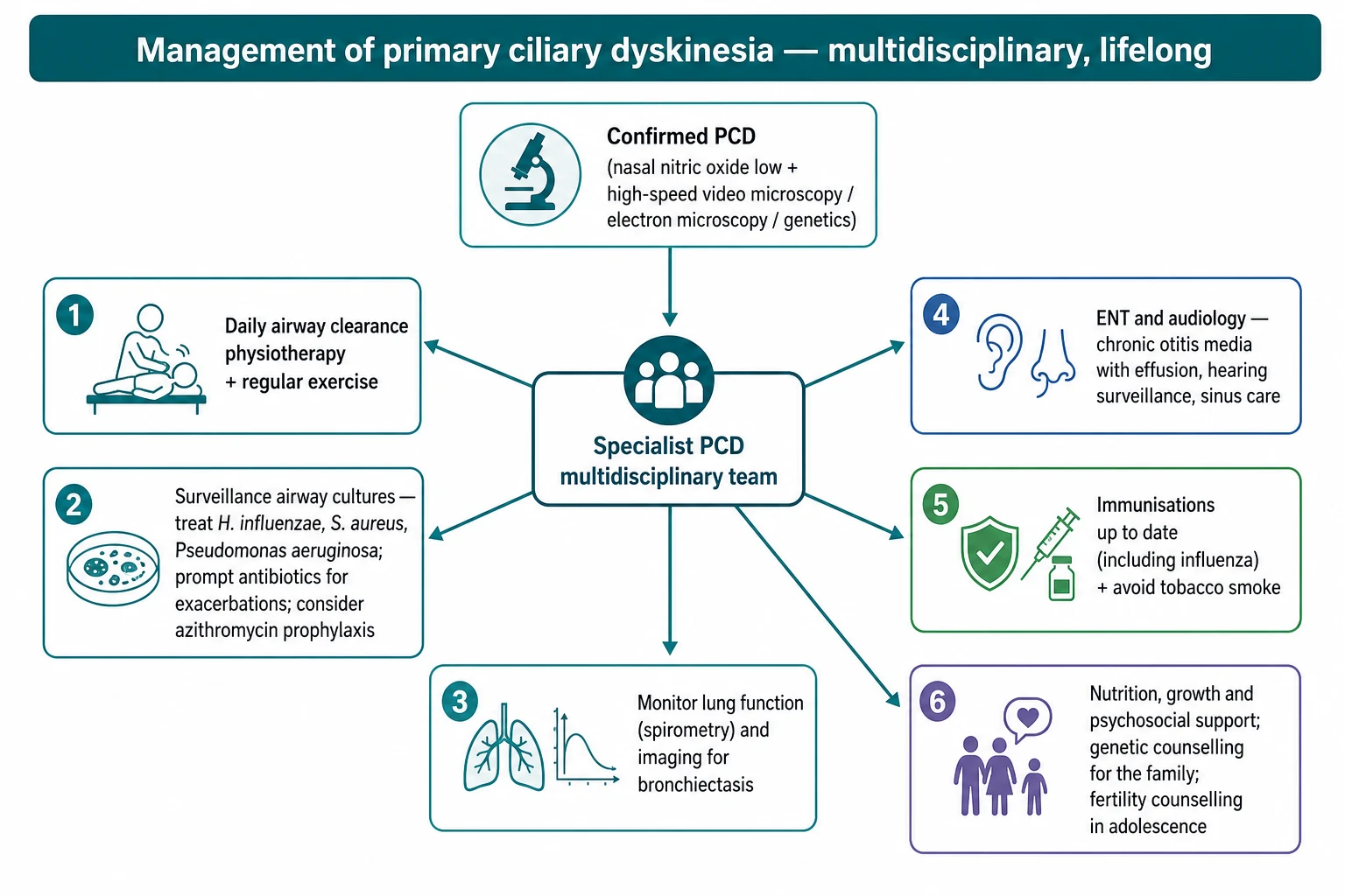 Management algorithm for primary ciliary dyskinesia showing confirmed diagnosis by nasal nitric oxide, high-speed video microscopy, electron microscopy and genetics feeding into a specialist multidisciplinary team, with branches for daily airway clearance physiotherapy and exercise, surveillance airway cultures with prompt antibiotics for exacerbations and consideration of azithromycin prophylaxis, monitoring of lung function and imaging, ENT and audiology care for chronic otitis media, immunisation and avoidance of tobacco smoke, and nutrition growth genetic and fertility counselling