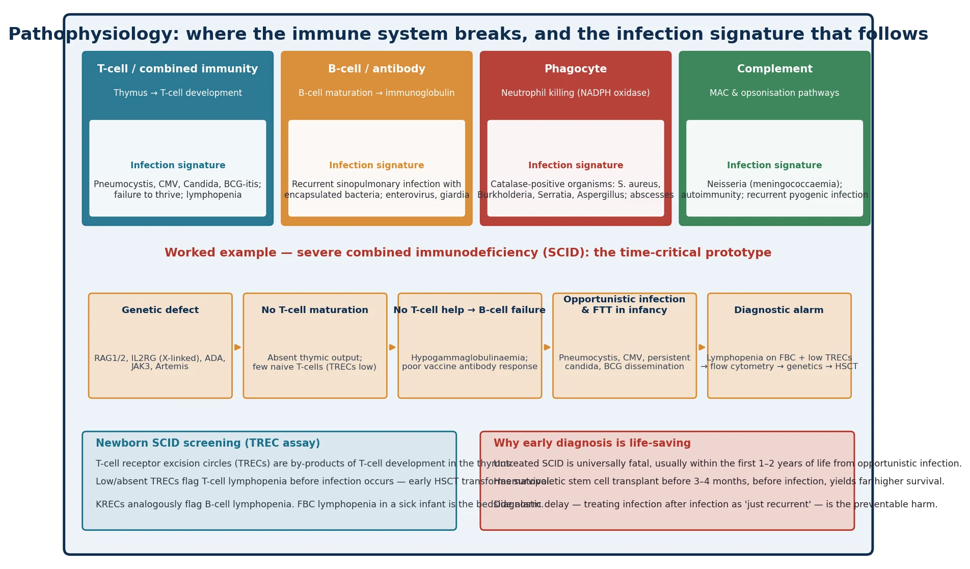 Four-panel diagram of the immune arms: each panel shows an immune component (T-cell/combined, B-cell/antibody, phagocyte, complement), its developmental mechanism, and its characteristic infection signature, with a worked SCID cascade below showing genetic defect to absent T-cell maturation to opportunistic infection, plus side panels on TREC newborn screening and the life-saving benefit of early transplant