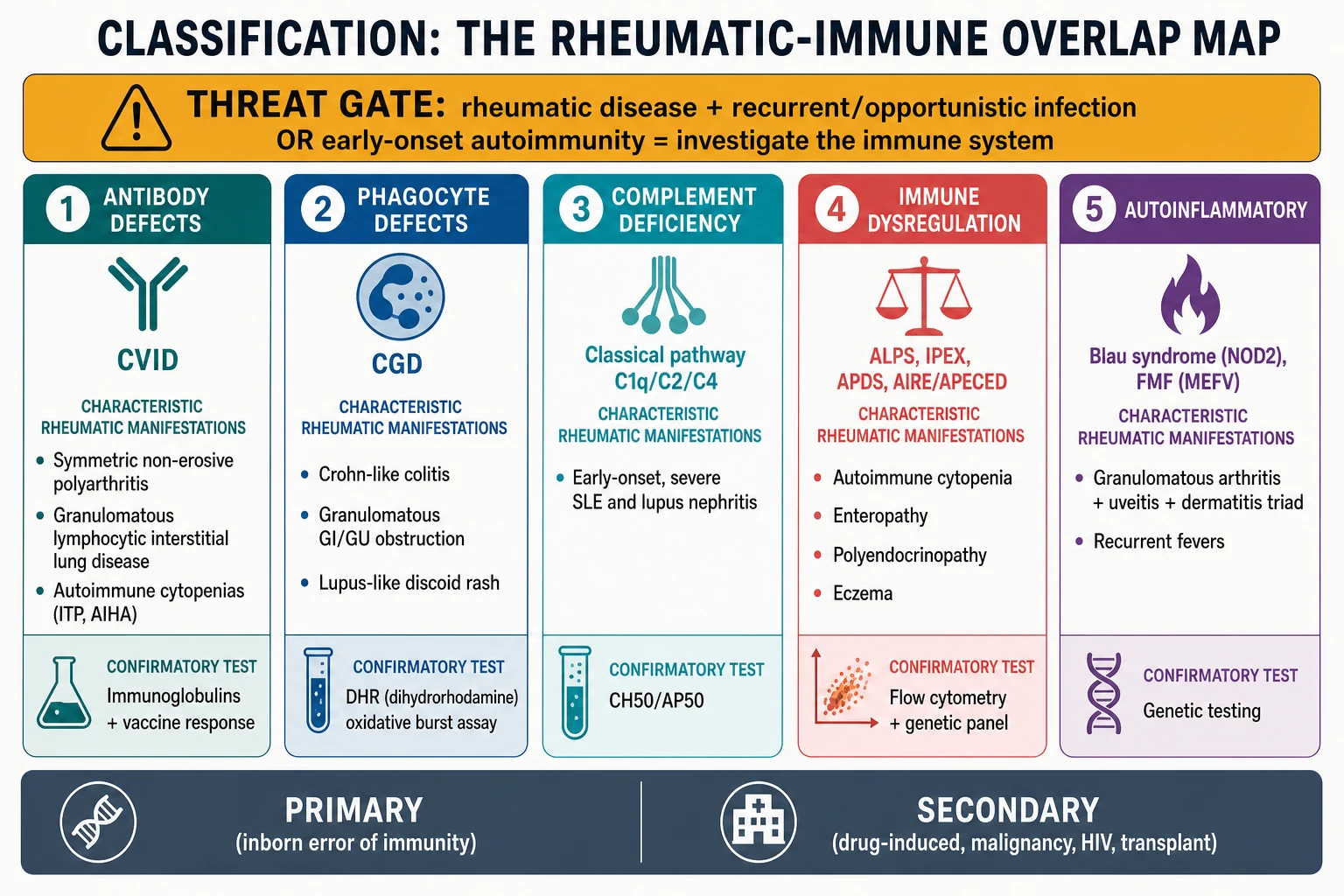 Threat-gate banner at top reading rheumatic disease plus recurrent or opportunistic infection equals investigate the immune system, then five colour-coded columns for antibody defects, phagocyte defects, complement deficiency, immune dysregulation and autoinflammatory disease, each with its characteristic rheumatic manifestation and confirmatory test, and a footer splitting primary inborn errors from secondary causes