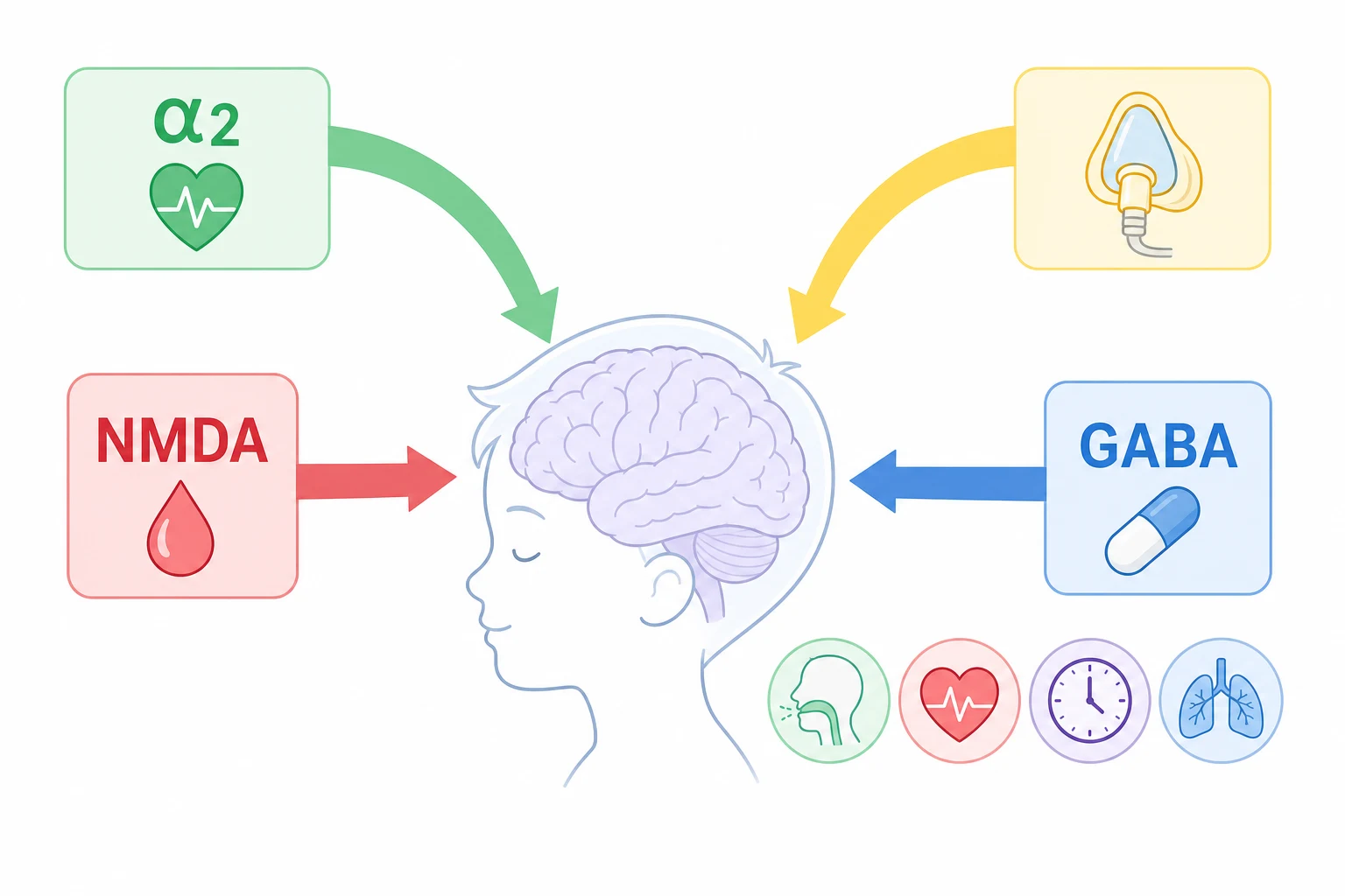 Four labelled brain-receptor pathways converging on a child's level of consciousness: NMDA antagonism by ketamine, GABA-A modulation by midazolam and propofol, alpha-2 agonism by dexmedetomidine, and inhaled nitrous oxide, each annotated with its effect on airway tone, circulation and recovery