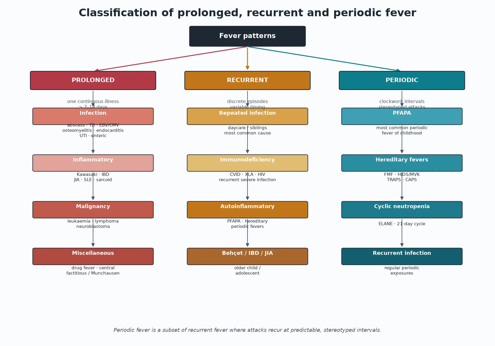 Three-column classification tree of prolonged, recurrent and periodic fever, each with its leading causes: infection, inflammatory, malignancy and miscellaneous for prolonged; repeated infection, immunodeficiency and autoinflammatory for recurrent; PFAPA, hereditary periodic fevers, cyclic neutropenia and recurrent infection for periodic