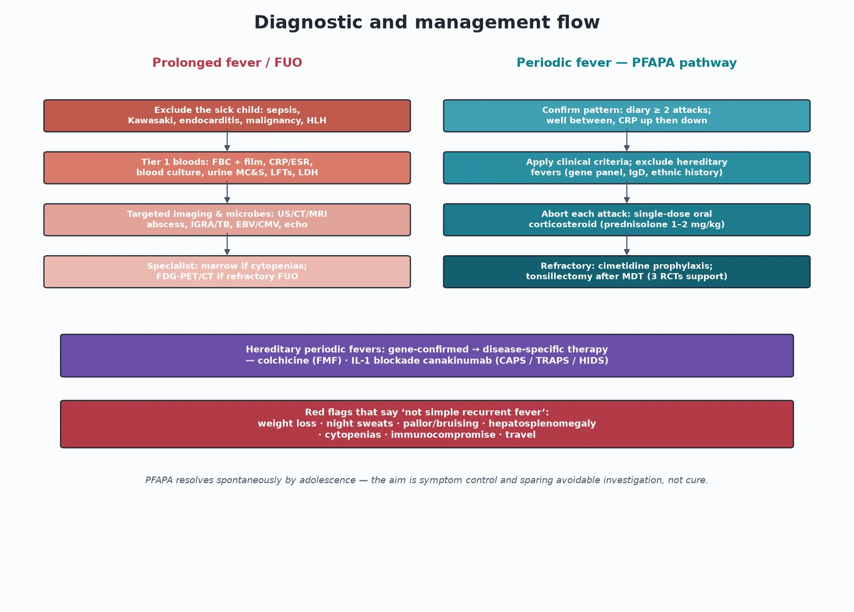 Two-column diagnostic and management flow: staged fever-of-unknown-origin workup on the left and the PFAPA pathway of confirm pattern, exclude hereditary fevers, abort with corticosteroid, cimetidine prophylaxis and tonsillectomy for refractory disease on the right, with a red-flag band