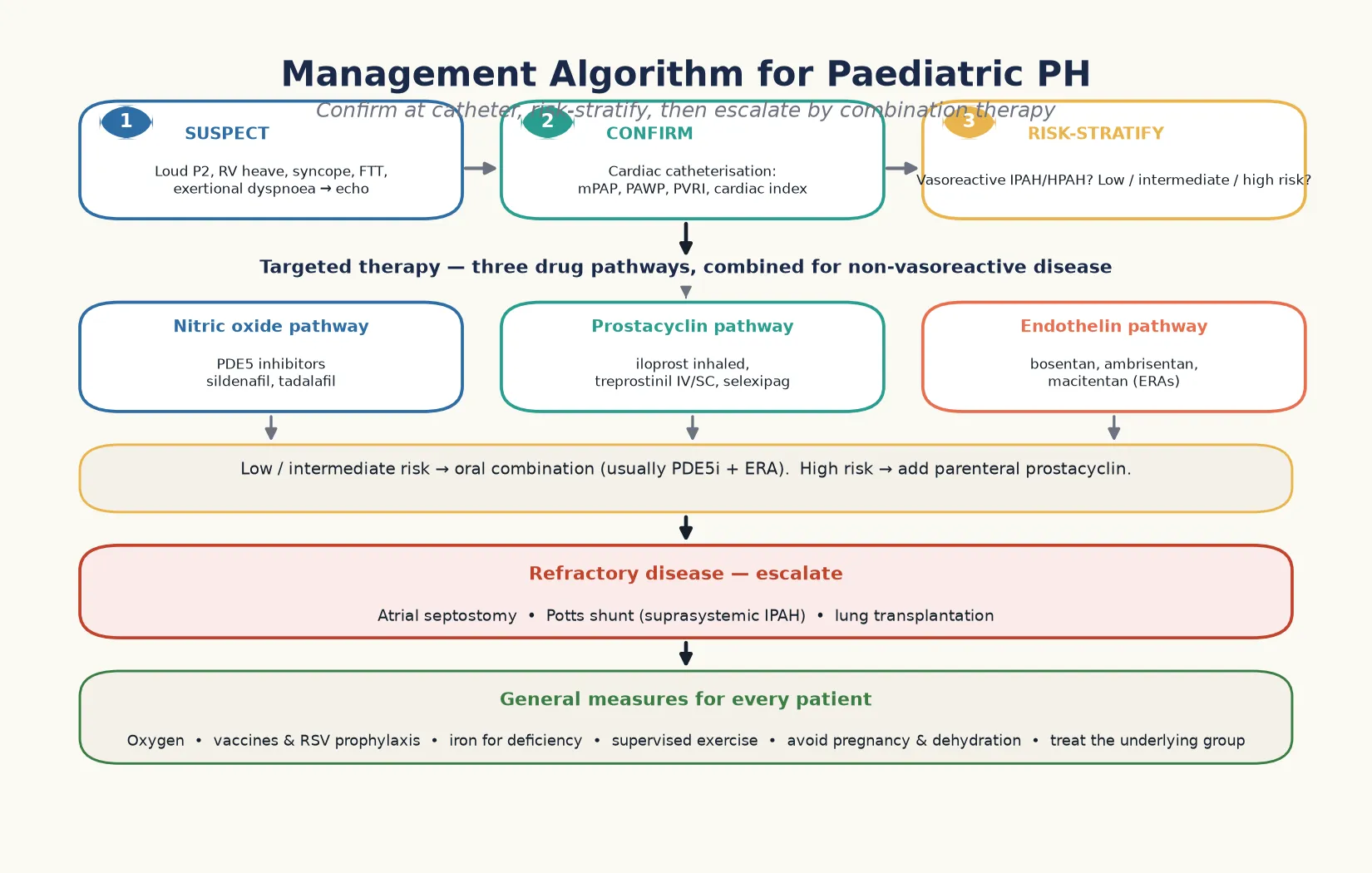 Management algorithm for paediatric pulmonary hypertension showing step one suspect the lesion from loud pulmonary second sound right ventricular heave syncope and failure to thrive, step two confirm with cardiac catheterisation measuring mean pulmonary artery pressure wedge pressure indexed pulmonary vascular resistance and cardiac index, step three risk stratify by vasoreactivity and low intermediate or high risk, then three parallel drug pathway cards for the nitric oxide pathway with phosphodiesterase-5 inhibitors sildenafil and tadalafil, the prostacyclin pathway with inhaled iloprost intravenous or subcutaneous treprostinil and oral selexipag, and the endothelin pathway with bosentan ambrisentan and macitentan, a risk band stating oral combination for low and intermediate risk and added parenteral prostacyclin for high risk, a refractory escalation band for atrial septostomy the Potts shunt and lung transplantation, and a general measures band for oxygen vaccines iron supervised exercise and treating the underlying group
